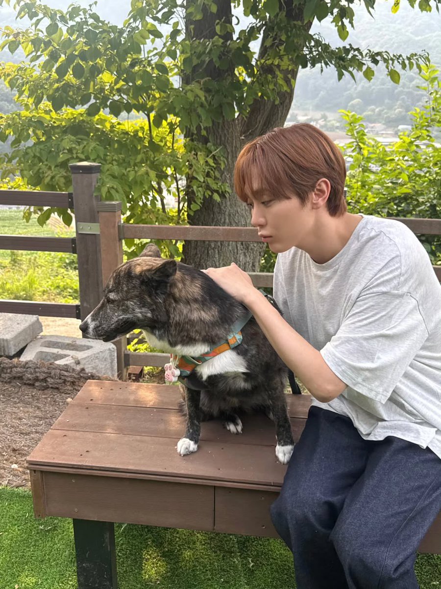 kimlingyu's tweet photo. Kenapa ga ada yang mau gua pat-pat?🥲 https://t.co/7BON2HbQCz