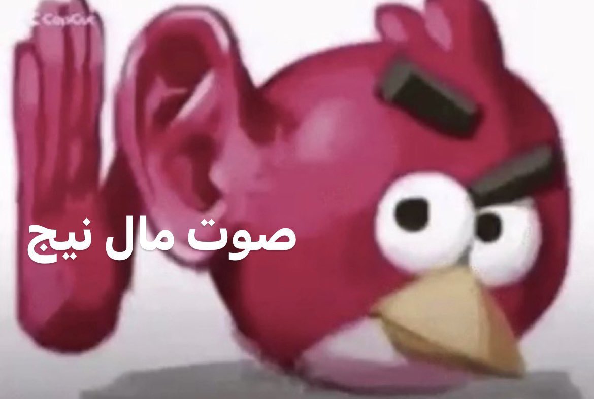 ☥ tweet media