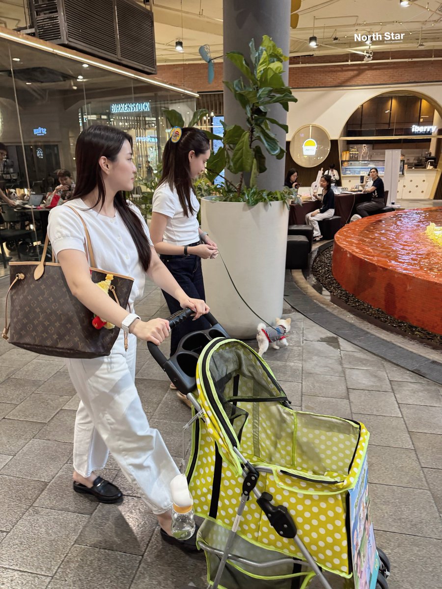 LunarSecret__'s tweet photo. เก็บรูปวันนี้มาฝาก อัลกี้ 🫣 เหมือน….

#Ginnynatnicha #Aangelinaass
#GinJay https://t.co/LhdPUwbYv0