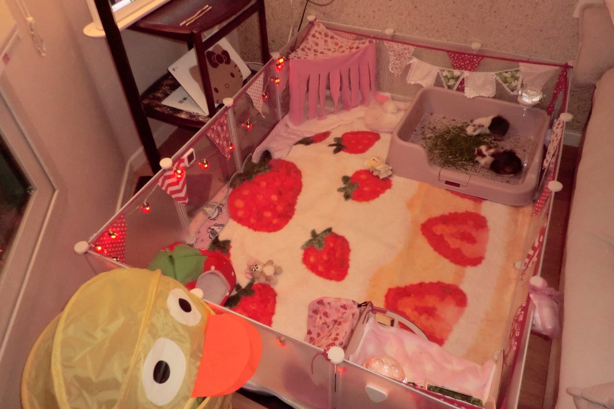 mazemaimall's tweet photo. 𝓙𝓾𝓼𝓽𝓲𝓷 𝓑𝓲𝓮𝓫𝓮𝓻 𝓲𝓷 𝓢𝓱𝓸𝓻𝓽𝓬𝓪𝓴𝓮🍰🍓 https://t.co/9mztKQqkD7