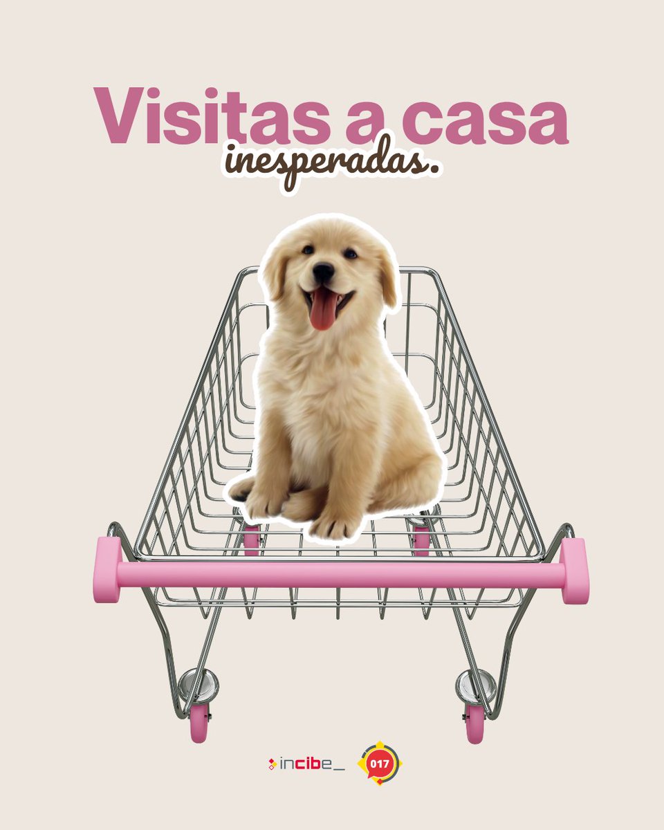 INCIBE's tweet photo. En este #CasoReal017, un usuario empezó a recibir visitas inesperadas en su domicilio 🚪.

Unos estafadores estaban utilizando su dirección para formalizar falsas ventas de mascotas 🐶.

⚠️ Descubre cómo actuar ante este fraude en el enlace. 👇

https://t.co/JfO7ipFB64 https://t.co/20BntJK9BS