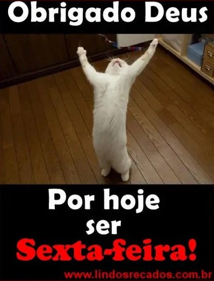 ViniPollheim's tweet photo. https://t.co/DHxp5Cyx2a