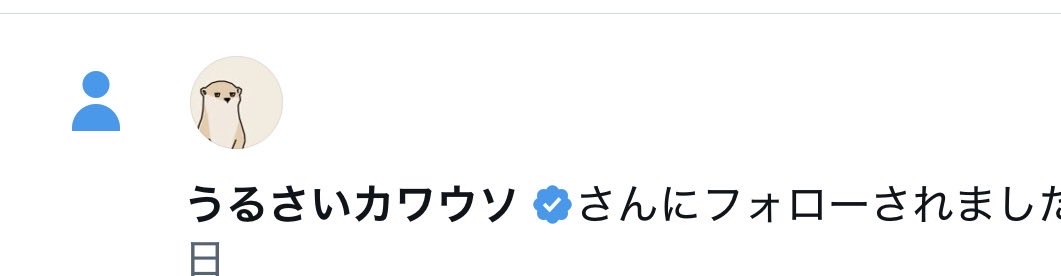 pandada080502's tweet photo. カワウソ可愛すぎる！！！！ https://t.co/bhWUAw2KvC
