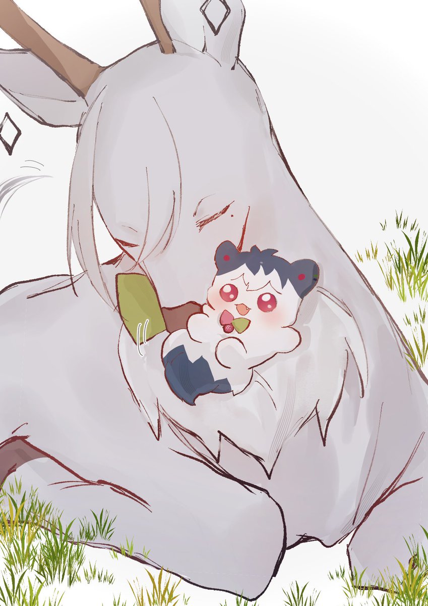 nekotya_m's tweet photo. もちもち https://t.co/zRuQx0SXRF