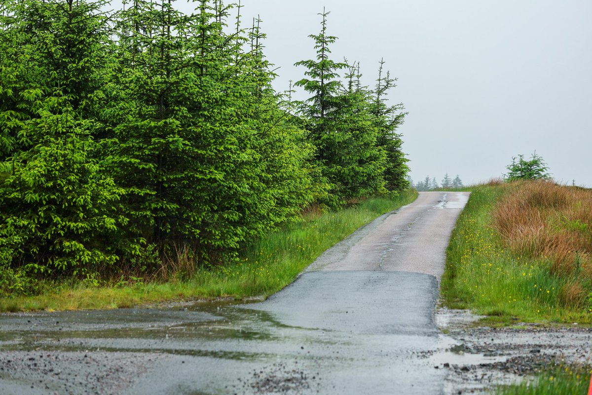 OfficialBHRC's tweet photo. 🏴󠁧󠁢󠁳󠁣󠁴󠁿 Stages here are just 👌👌

The Argyll Rally roads just hit right 🥵

#BHRC https://t.co/ECMq8muh9a