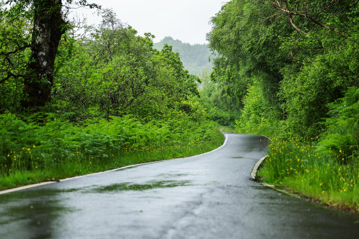 OfficialBHRC's tweet photo. 🏴󠁧󠁢󠁳󠁣󠁴󠁿 Stages here are just 👌👌

The Argyll Rally roads just hit right 🥵

#BHRC https://t.co/ECMq8muh9a