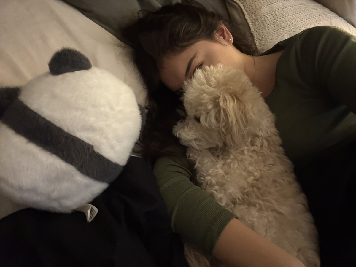 cami__perrone's tweet photo. Acá el boludo de mi perro levantandose https://t.co/98xAJ0fxKH