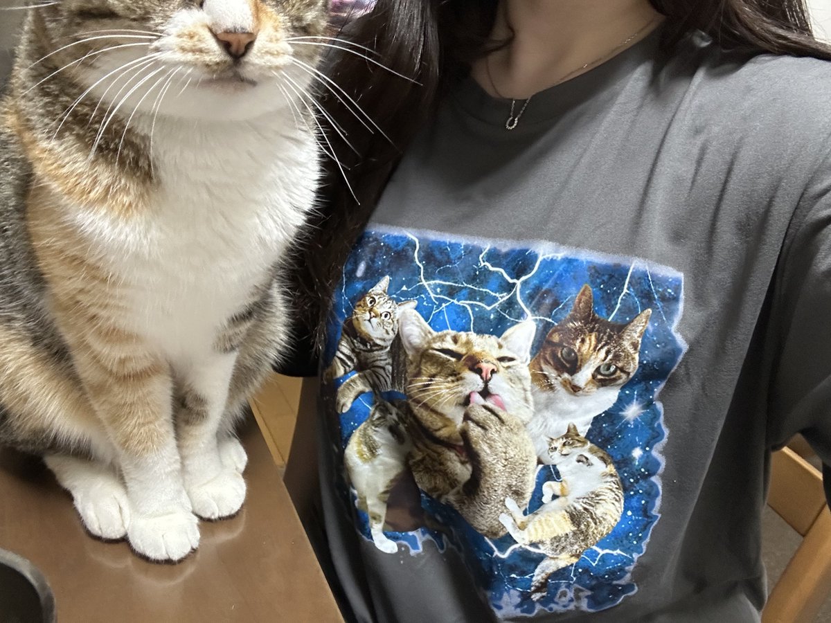 edachi_online's tweet photo. イケてるTシャツつくった🥳🥳🥳
パテボーテ💖 https://t.co/kqdKtJRFj0