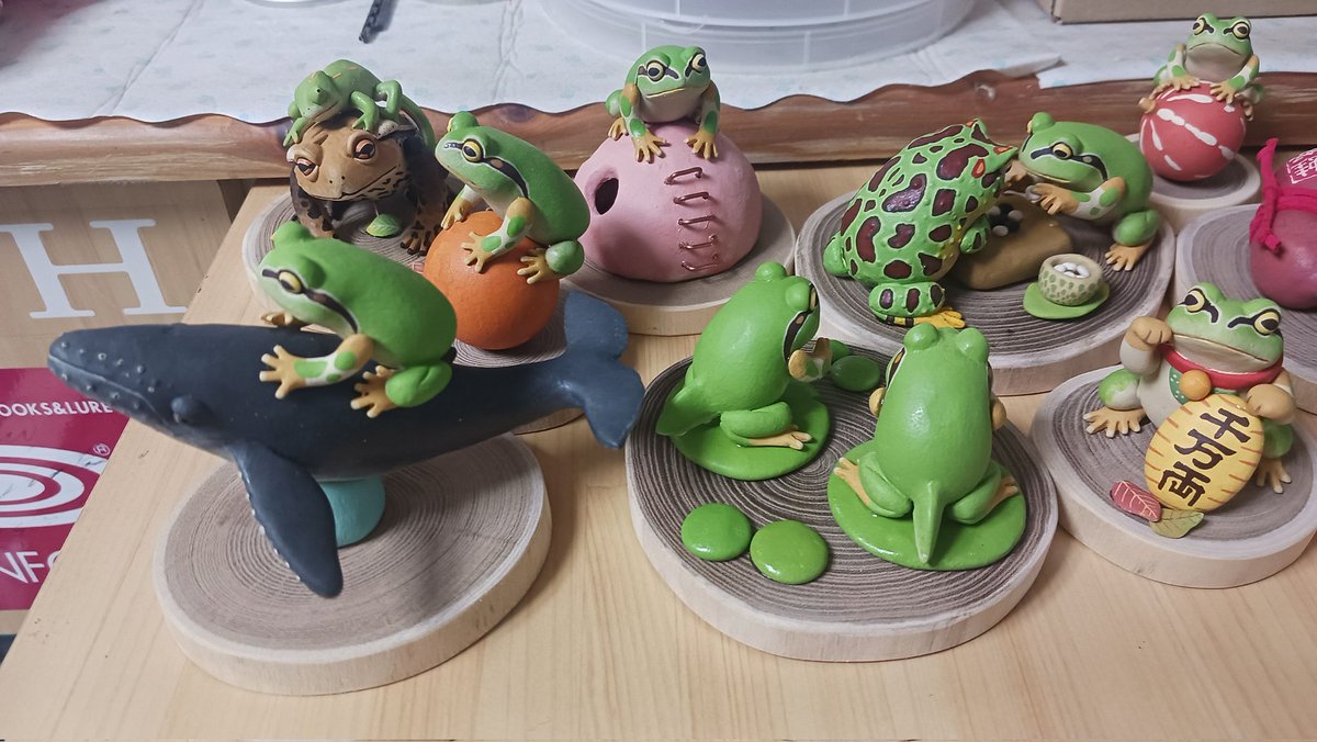 先ほど今回連れて行く子達の画像が送られてきました🐸場所がいつもと