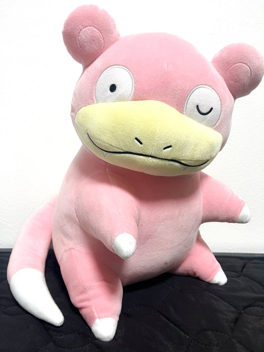 yadonon25's tweet photo. この間1回だけと決めてUFOキャッチャーやったら、ヤドンちゃん来てくれたやぁん！！奇跡やぁーん！！
きみと同じ子がすでにいるけど、いつか会わせてあげるからねぇ☺️✨
 #ヤドン  #ポケモンと生活 https://t.co/xJ2O6zUDCc