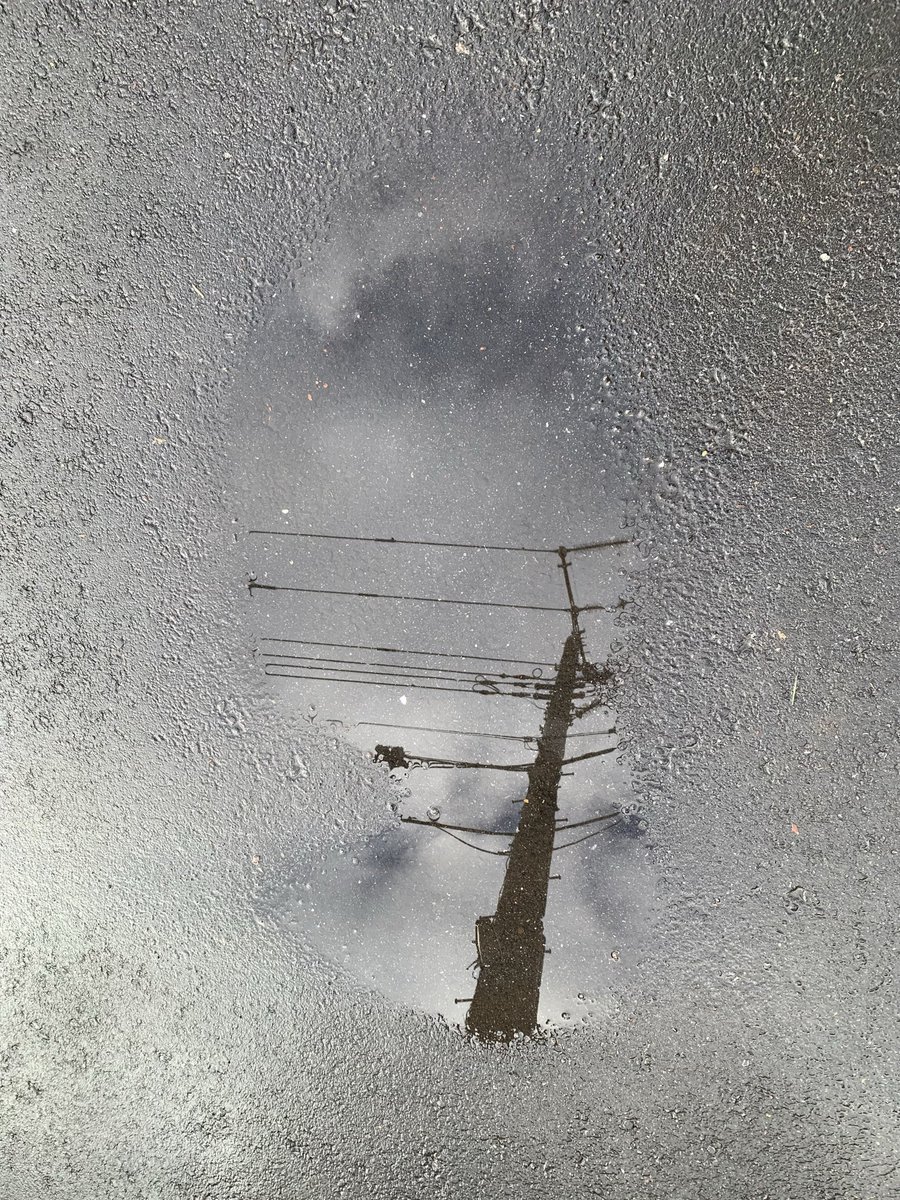imaieichi's tweet photo. エヴァンスさんの眼鏡かけたら
雨降るみたいにピアノ弾けるの？
鍵盤にポツポツ
啜り泣く雨
微笑む雨

#詩 #散歩の日々 https://t.co/Fe1xyWtBe9