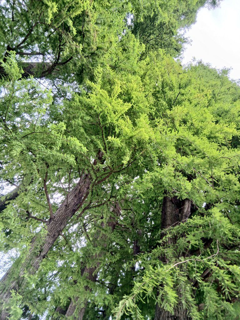 DaoPlanet's tweet photo. だお散歩
晴れた日の公園でたびるタマゴパンはうみゃいお https://t.co/M8WhSgRRxJ