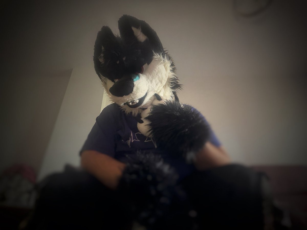LoannesArch's tweet photo. What did you want to tell me ?
#FursuitFriday https://t.co/PB2gwnjVWp