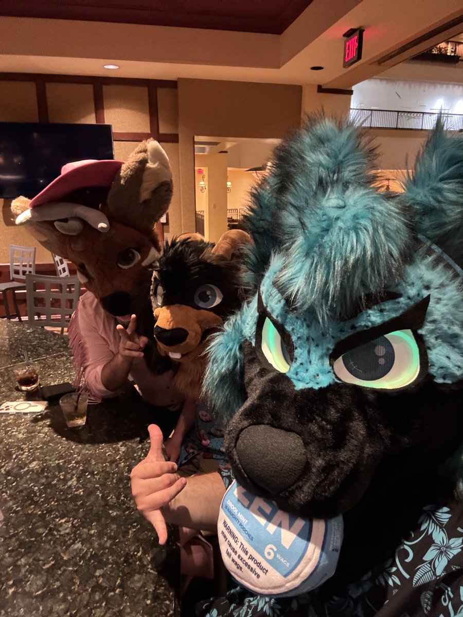 FaceDownFlapsUp's tweet photo. Happy #fursuitfriday to all y’all fuzzies
FT 🐐 @DoughnutLineman 🦌 @jeffthedeer
🪡 #2SF https://t.co/olpnKILk4s