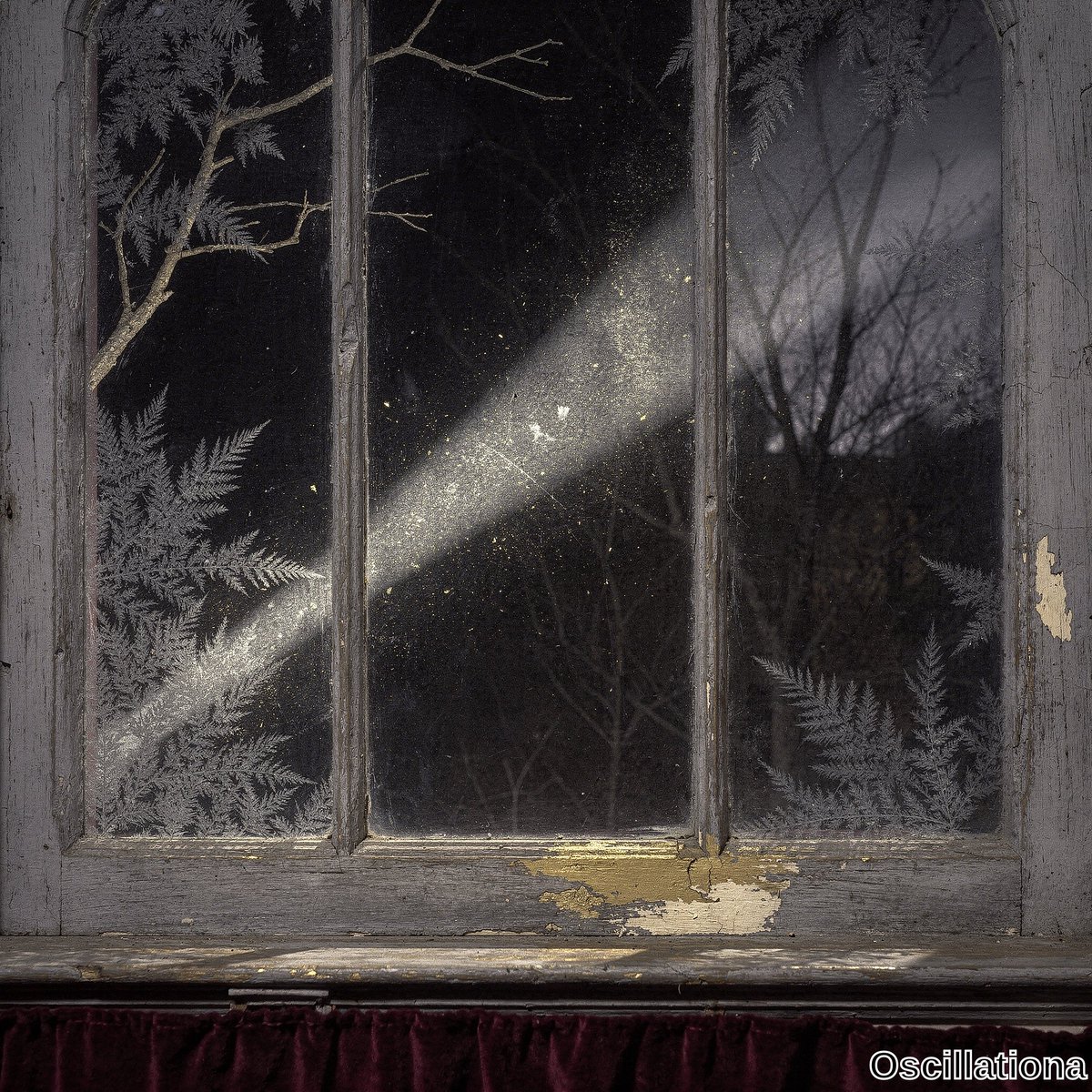 Oscillationa's tweet photo. Light left a star when the last leaves fell in the southern summer. It crosses the equator now and lands on bare branches. A pulsar spins through both hemispheres without pause. https://t.co/MILO0MYgsS