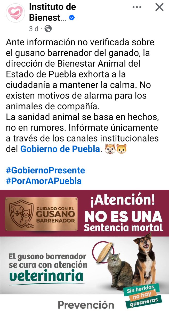 ★·.·´HeChIzErO`·.·★ tweet media