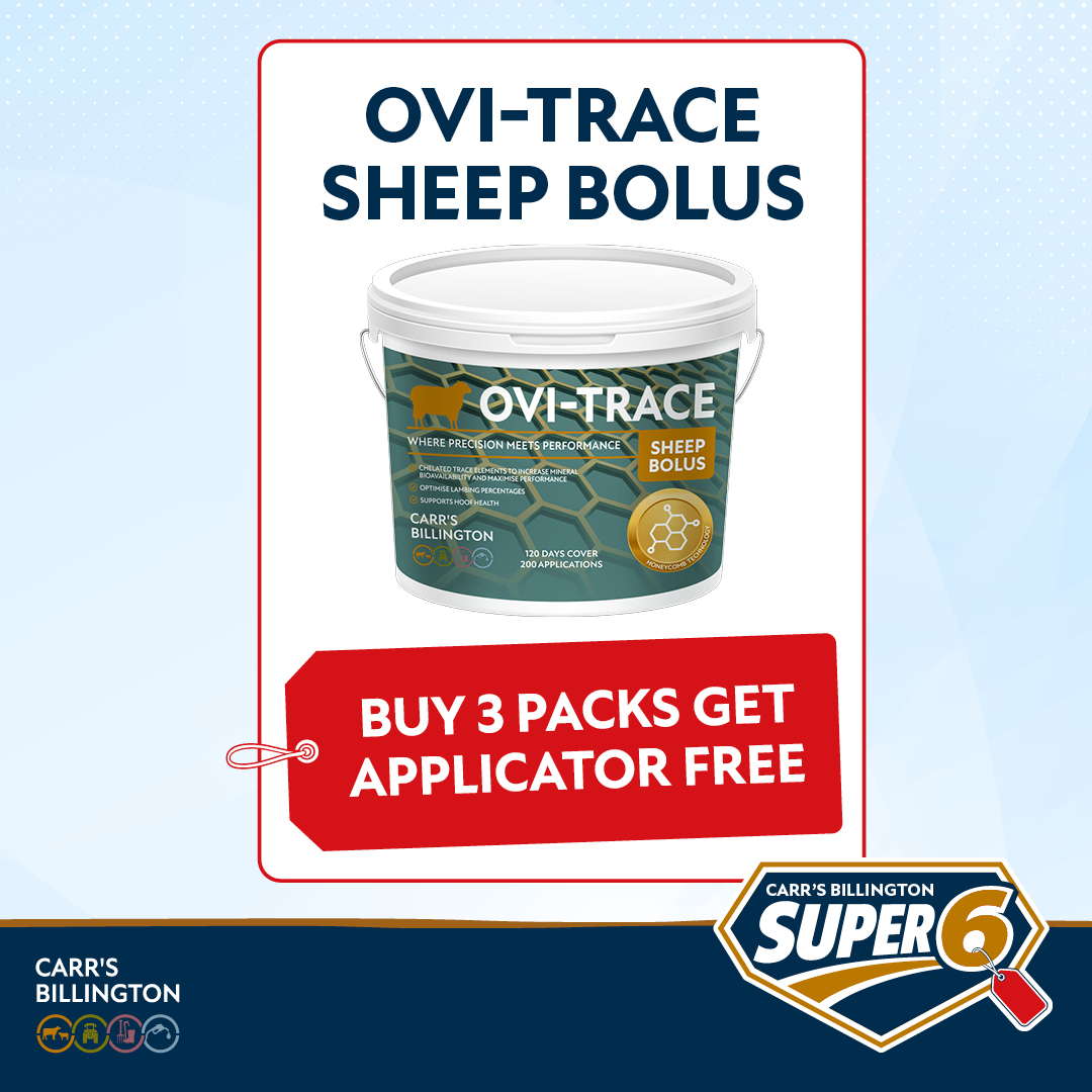 CarrsBillington's tweet photo. CARR’S BILLINGTON SUPER 6 - OVI-TRACE SHEEP BOLUS

Buy 3 packs and receive a free applicator. 

👉 find out more https://t.co/Xb1s3o9fBF https://t.co/oNDTGrUgqQ