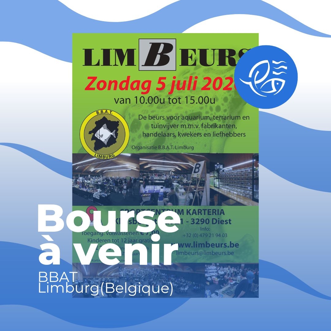 PronaturaF's tweet photo. Belgique - 3290 Diest - 5 juillet 2026 - Bourse de la Fédération belge BBAT 
https://t.co/FotdbVEumi https://t.co/hFX3PCVXj5