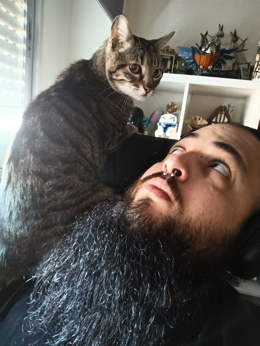 Kovac5_'s tweet photo. Gracias por cada ronroneo, por cada mirada y por todos los momentos que compartimos. Fuiste mucho más que un gato; fuiste mi familia, un compañero fiel que llenó mi vida de cariño y alegría, siempre te  llevaré en mi corazón, hasta que nos volvamos a encontrar. Te quiero Mufy❤️‍🩹 https://t.co/XW1p5QQ9aC