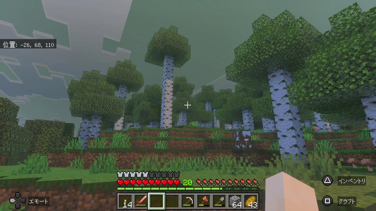 misagame2015's tweet photo. 🍓マイクラソロプレイ-PS5🍓

こんな背の高い白樺ってあったっけ？🙄

#minecraft 
#マインクラフト https://t.co/wtmtRBHHGw