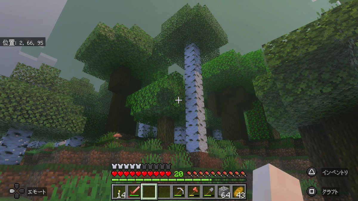 misagame2015's tweet photo. 🍓マイクラソロプレイ-PS5🍓

こんな背の高い白樺ってあったっけ？🙄

#minecraft 
#マインクラフト https://t.co/wtmtRBHHGw