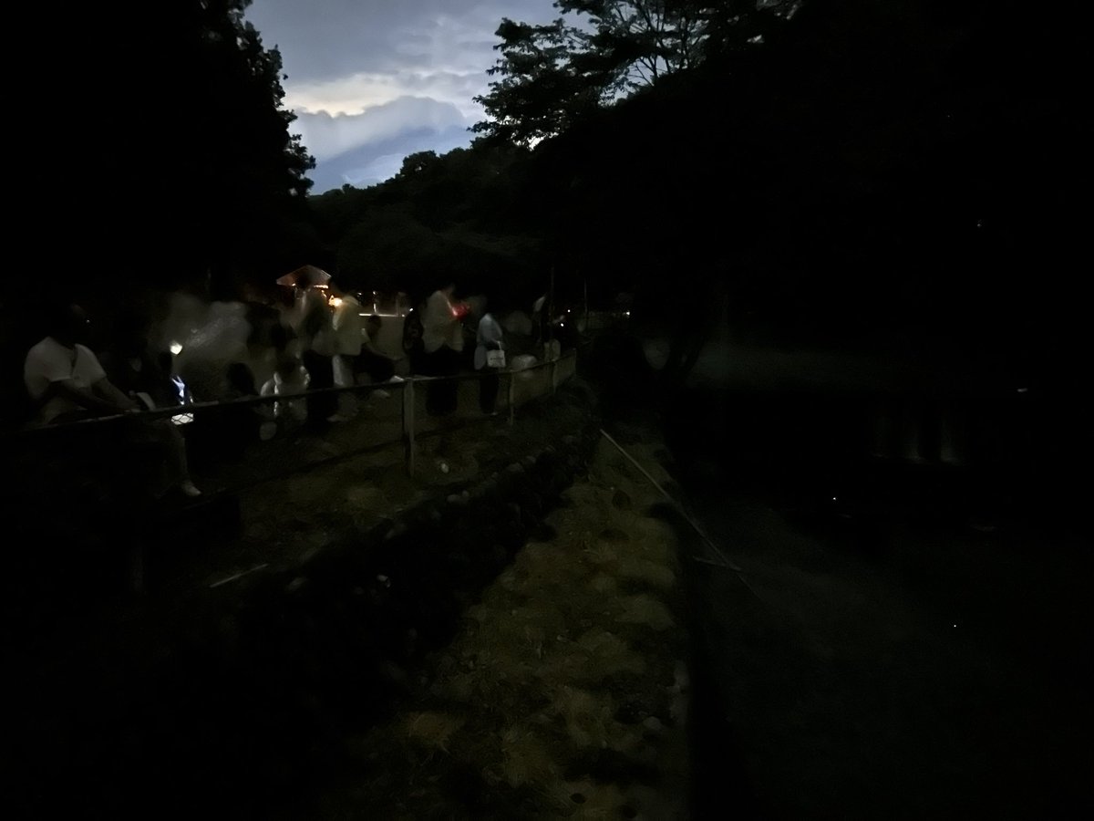 chichibukanko's tweet photo. 【上町ホタル情報】
6/19（金）はホタル日和！蒸し暑いなかたくさんのホタルが元気に飛んでいました！
観賞に訪れる方も非常に多く、みなさん感動して見惚れていました👀
ヘイケボタルの光が多くなった印象がありました！
明日は「上町ほたる鑑賞まつり」です！
https://t.co/PGxb7Yu0NH https://t.co/dLjJwPRljY