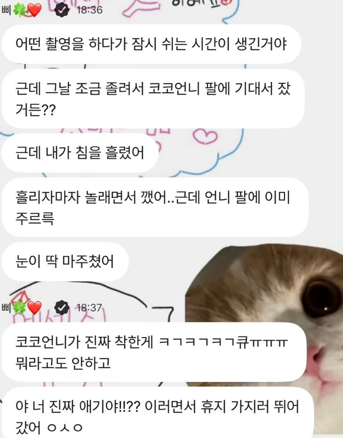 naraicalmdown's tweet photo. #진정한레전드안정형
#안정형수집가
#안정형모먼트모음 https://t.co/SF1YvhO5Ph