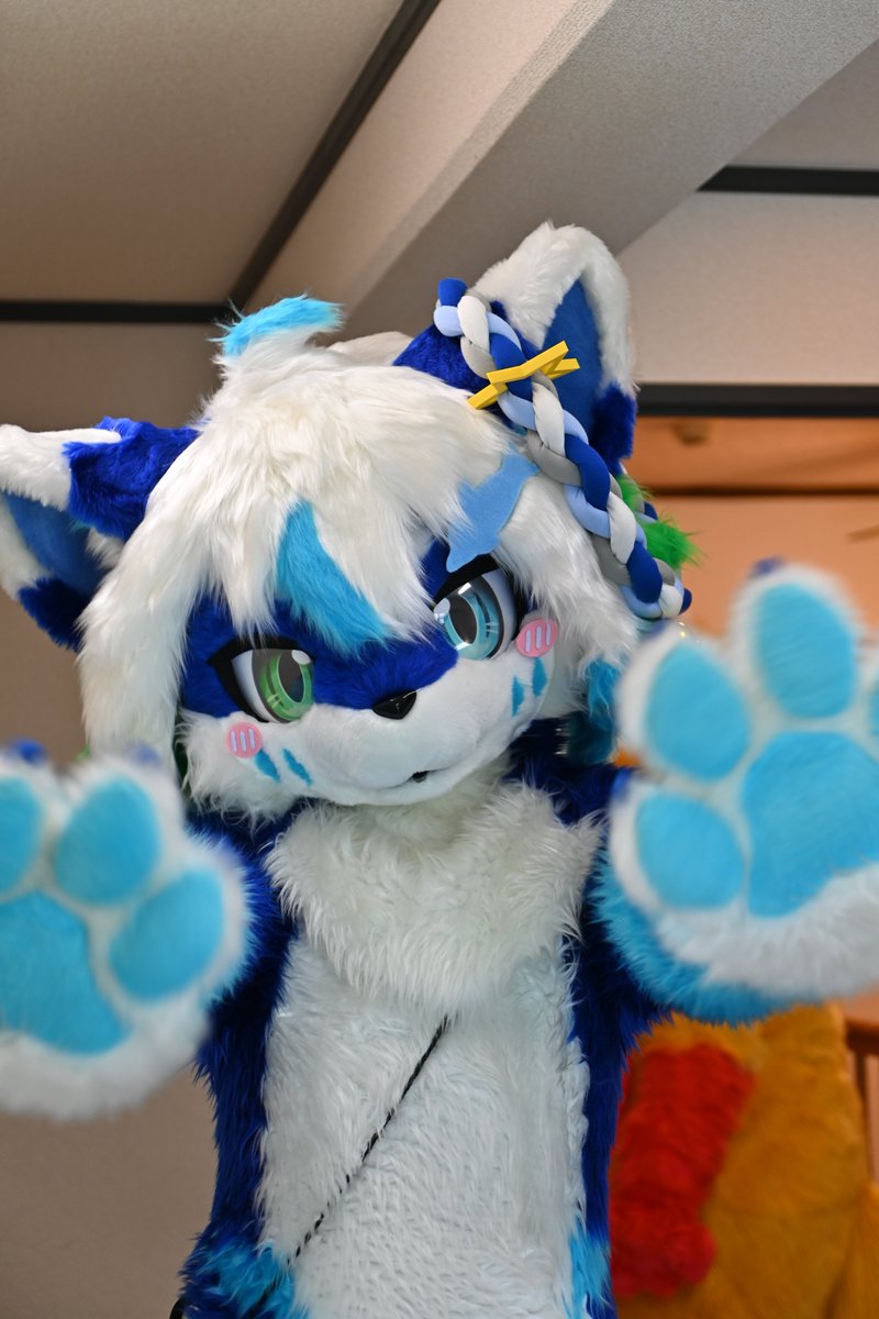 Larudia_furry's tweet photo. 今週もお疲れさまなのです～✨
がんばったキミにモフモフ🐾をプレゼントなのです！
#モフフェス4
#FursuitFriday https://t.co/XkLbHvnS3c