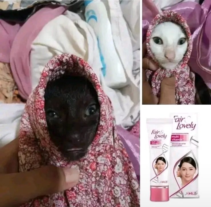 WndSRl's tweet photo. Yang mau endorse boleh ya, meng udah siap https://t.co/CyDIDi4Qcg