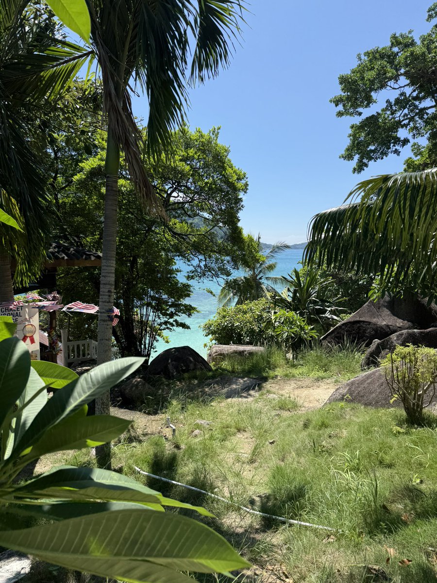 Saainss's tweet photo. La Malaisie 🇲🇾 🥰 https://t.co/ORlREpWarL