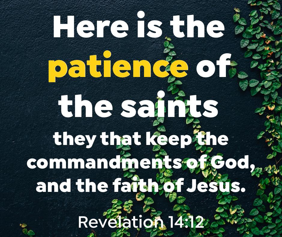 William34772026's tweet photo. @JTheSilverWolf @Dr_JohnFFisher @Truth02559307 @EllaFlash @ItsTheENDTheEND @PastorHamilton8 @LunkermackJoe saints belong to God ,sinners belong to the devil... This is what the Bible clearly testifies. There is a separation between Gods people and children. And the devil's people and children, the separation and evidence is the way they live their life https://t.co/RP7449QnjQ