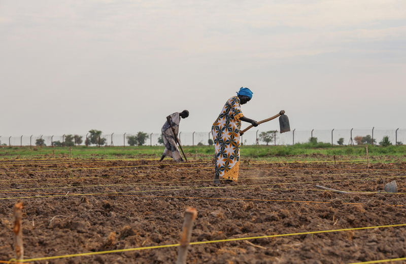 FAOSouthSudan's tweet photo. 🚨 A new @FAO-@WFP #HungerHotspots report warns that acute food insecurity is expected to worsen in 13 countries in 2026.

🇸🇸 remains among the countries of highest concern, with 7.8 million people projected to face Crisis-level hunger or worse.

📄👉 https://t.co/uMATiuWwPX https://t.co/ACWL8ThKfy