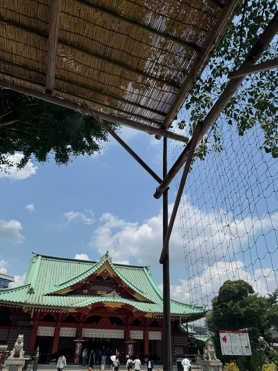 misosoupsukida's tweet photo. 夏がきた！ https://t.co/qMGGaSIvCp