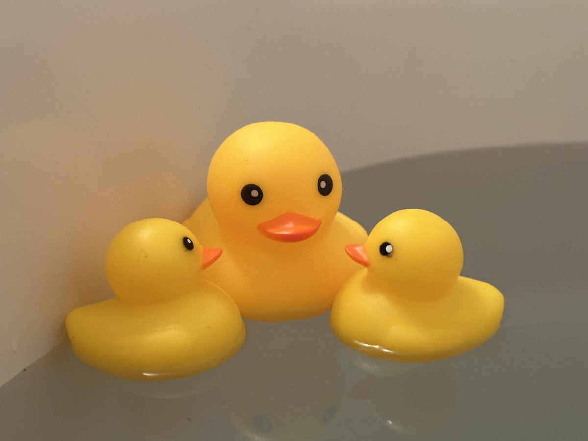 Linneon_sp's tweet photo. 定点観測していると、水鳥がさらに1羽増えていた。 https://t.co/K8LMJOvo6O