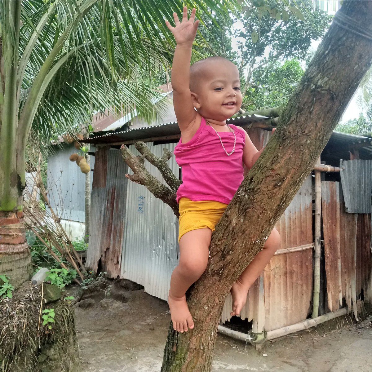 MhMusabbir's tweet photo. ভাগনি মাশাআল্লাহ https://t.co/3bh4rOpcqh
