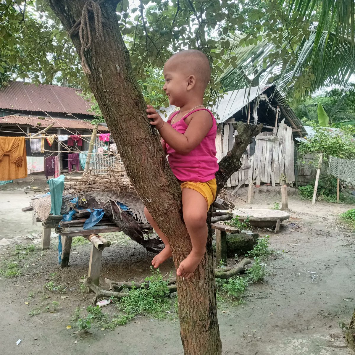 MhMusabbir's tweet photo. ভাগনি মাশাআল্লাহ https://t.co/3bh4rOpcqh