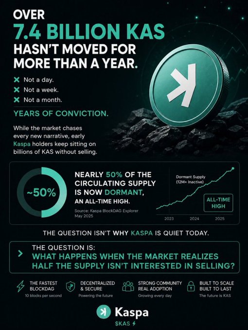 pepekrc20kas's tweet photo. Nearly 50% of all $KAS hasn’t moved in over a year. Long‑term conviction at an all‑time high. When the market realises half the supply isn’t selling… things get interesting. #kaspa https://t.co/L9vtOKvcSN