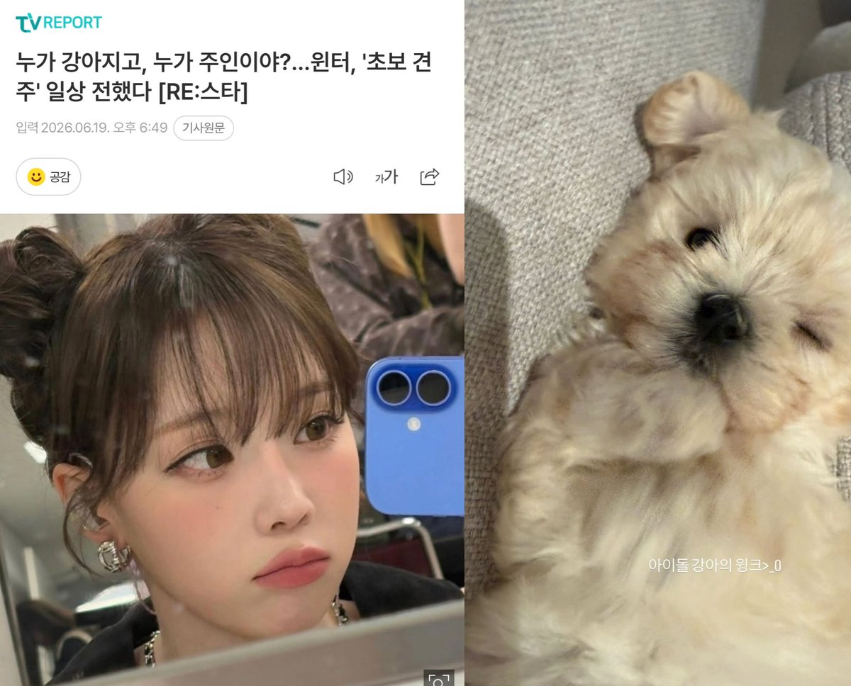 mjkmwntr's tweet photo. This article about WINTER & Ponyo 😆 

“Who’s the puppy, and Who’s the owner?… Winter, Shares Her Life as a First-time dog Owner” 

And the reactions were: 

- Can a puppy raise another puppy?
- I can’t tell who’s the puppy and who’s the owner
- The cutest combination in the world
- I want to be WINTER’s puppy
- If I’m reborn, I want to come back as WINTER’s dog 

https://t.co/wfrn262hqJ