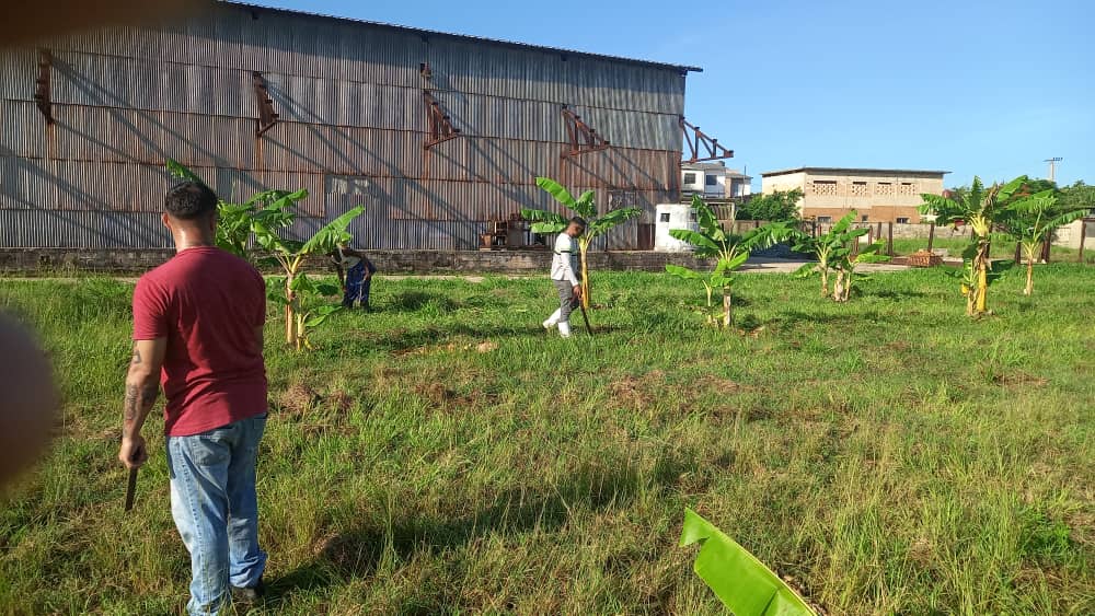 MatanzasUni's tweet photo. Mientras las lluvias comienzan hacer crecer las hiervas los trabajadores de Universal Matanzas no dan tregua y continúan manteniendo sus áreas limpias. 
#MatancerosEnVictoria #CubaPorLaSalud #CubaEstáFirme https://t.co/iPxit8lISj