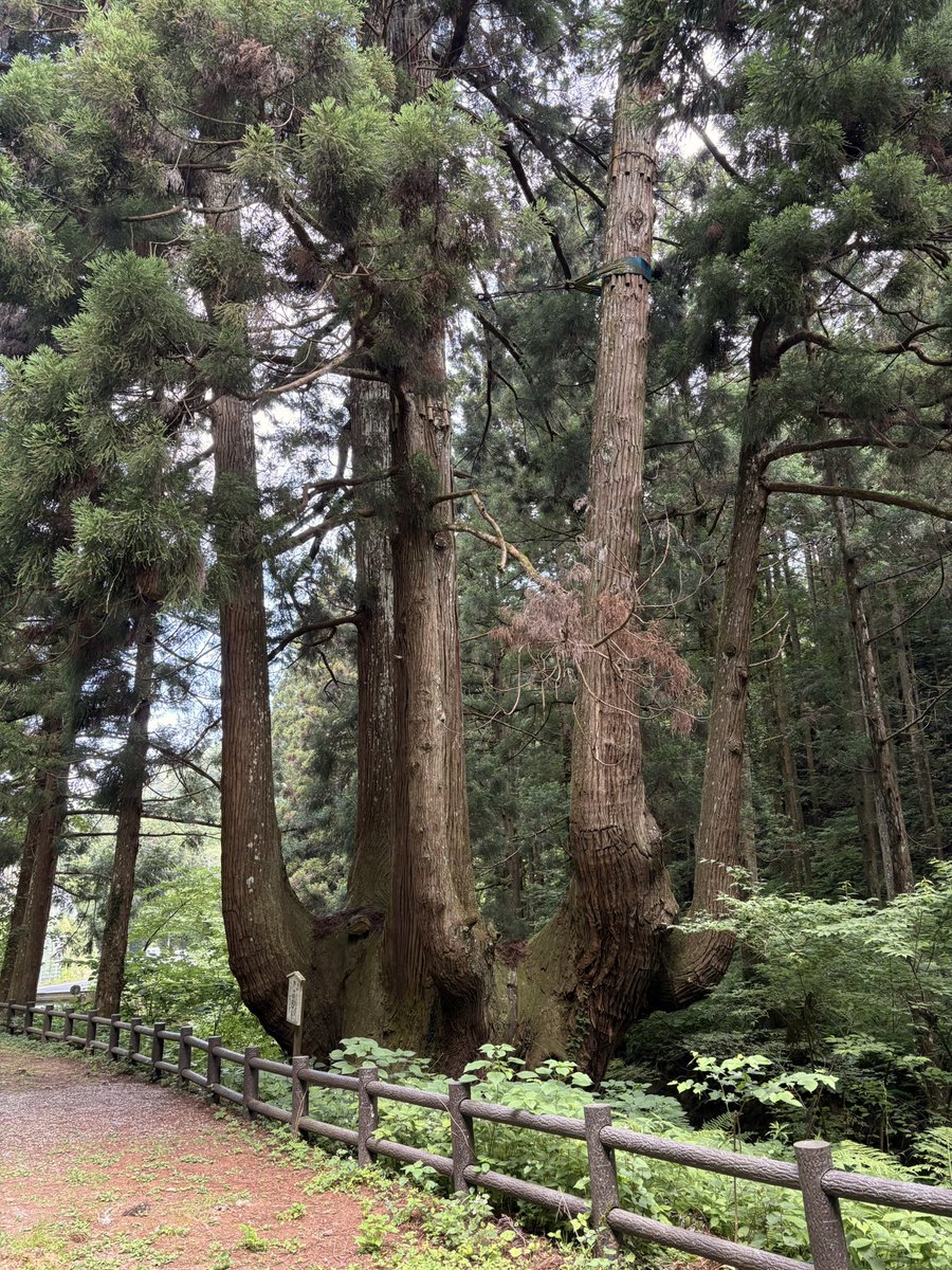 yumerikuu's tweet photo. 最高の隠岐島でした💖
天気も良くて景色が凄く良くて、友達にもいっぱい会えてほんと皆んな大好き😘💕
また絶対会いに行くからね！
ありがとう💖
さて、飛行機乗って今日から大阪に移動して串カツ食べて来ます🤭 https://t.co/NyaEVEo9BK