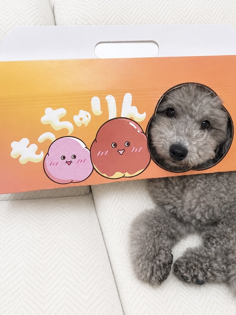 nonkilog's tweet photo. もっちゅりん買ったらやりたかったやつ。かわいい😍 https://t.co/MegZdUaZNL