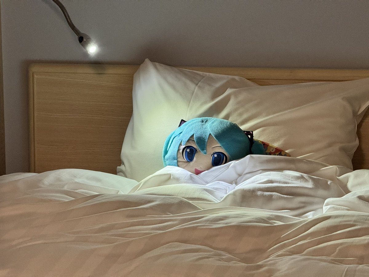 kikomachi's tweet photo. ここが今日のお宿ダヨ？
すごい・・・広いんダヨ・・・
窓から海が見えるんダヨ〜
でもあいにくの天気ダヨ
#ダヨ旅 https://t.co/GdK4BWzYsS
