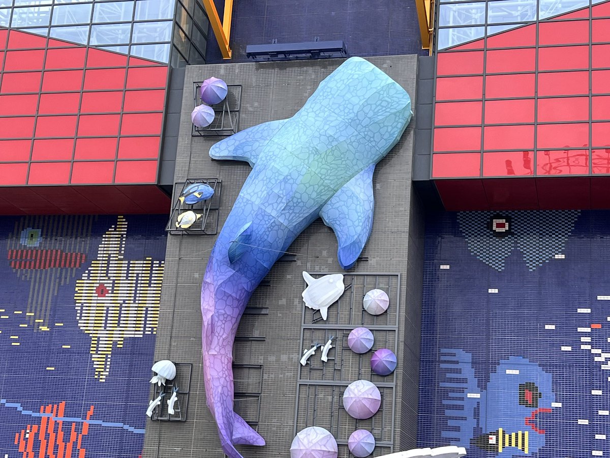 misty168_s's tweet photo. 水族館デートしてきました🥰 https://t.co/L1XPGLiYz3