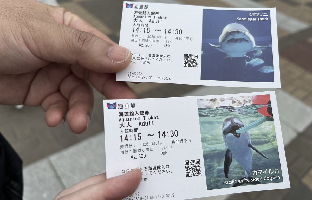 misty168_s's tweet photo. 水族館デートしてきました🥰 https://t.co/L1XPGLiYz3