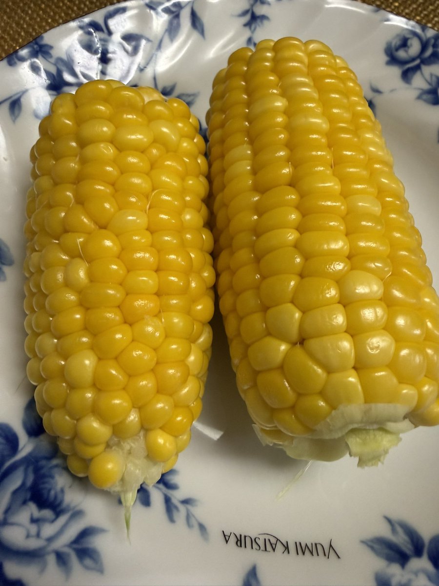 muramua4wd's tweet photo. 今年も🌽の季節になりました https://t.co/V7loE4CXAR