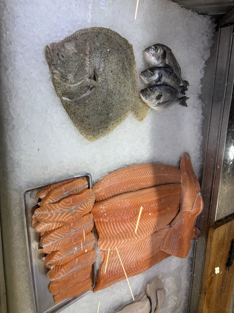 zosterarium's tweet photo. 北欧のヒラメは、丸い！
(ヒラメ科でもカレイ科でもないらしいけど) https://t.co/fp4uaz0sHH