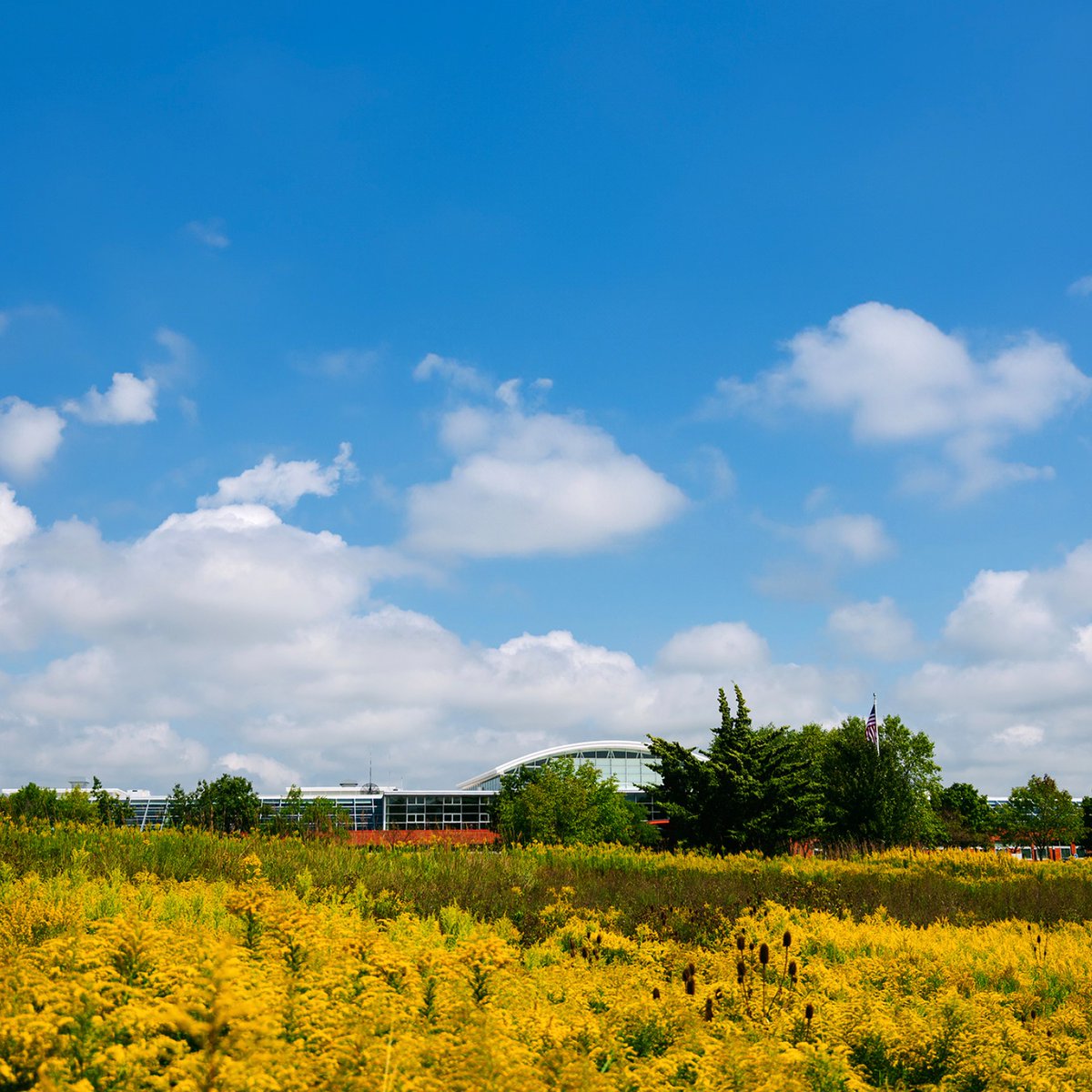 CBI_Workplace's tweet photo. We are proud to partner with MillerKnoll on numerous initiatives that contribute to a better world. Read about some of them in the latest installment of the MillerKnoll Better World Report. 

Explore the report: https://t.co/yhp6K7A9t5 https://t.co/eXlktQvDNy