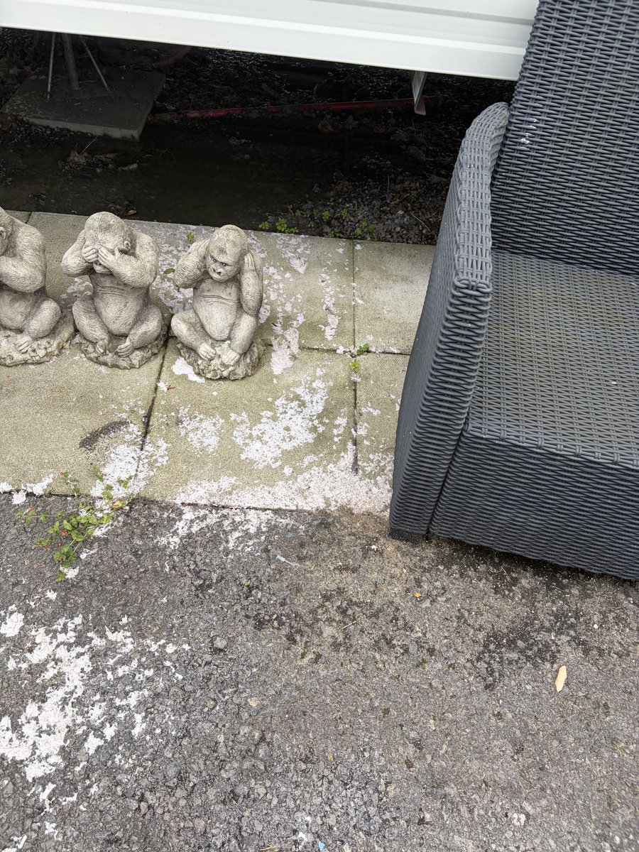 twentbird's tweet photo. Important notice for anyone with small children, pets, or even adults visiting this site As shown in the video, this has been an ongoing problem for over a year. I have reported it on four separate occasions.@Parkdeanresorts @TreccoB @TirionsCaravan @TreccoB @TreccoH @treccobay https://t.co/C5ALpoKjfo