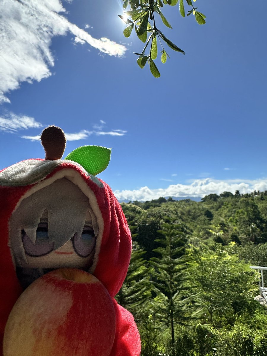 where2kae's tweet photo. #デボネみる : beautiful weather 2day https://t.co/73TVWnjzKJ