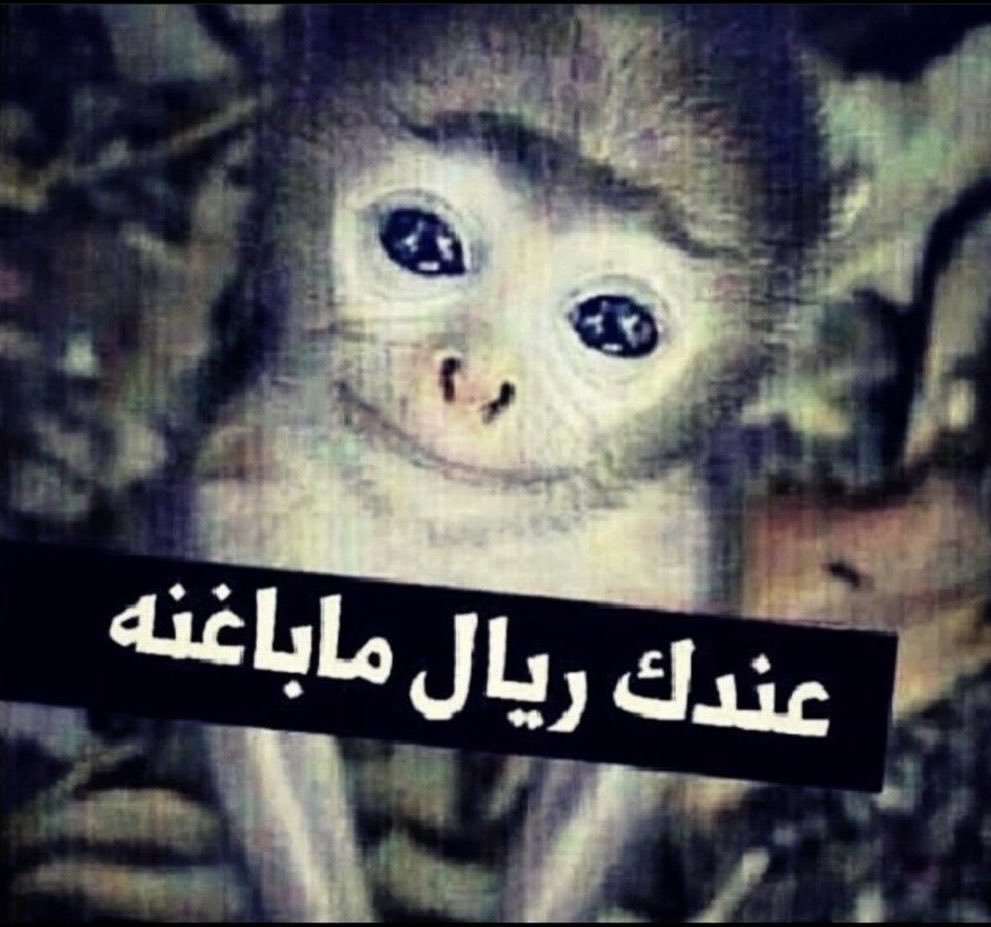 troom9troom9's tweet photo. أنا كل ما شفت  أبوي https://t.co/L4jwLdcTWH